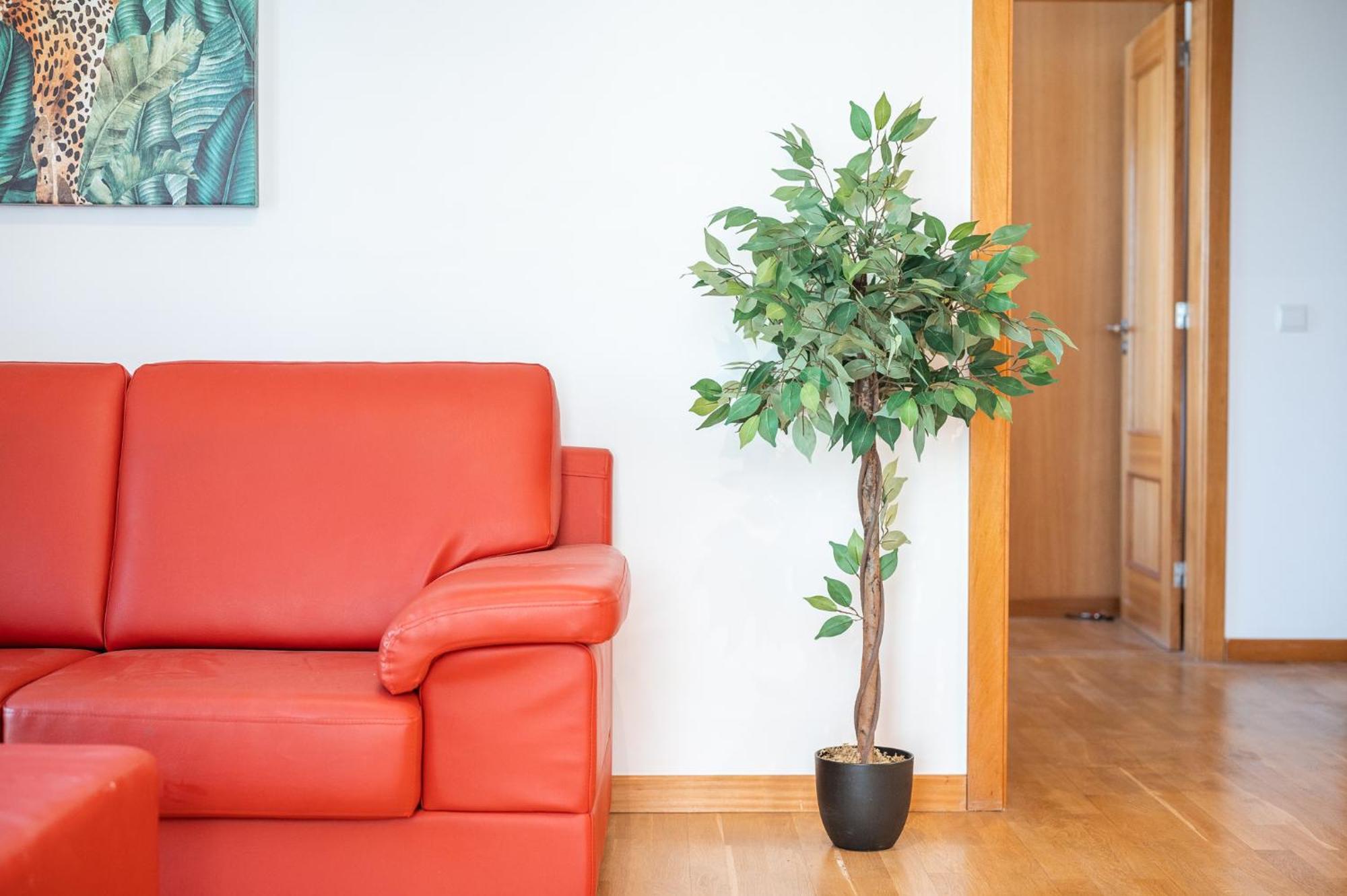 Villa Sao Tiago Funchal  Phòng bức ảnh